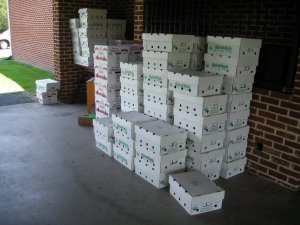 Vegetable Boxes