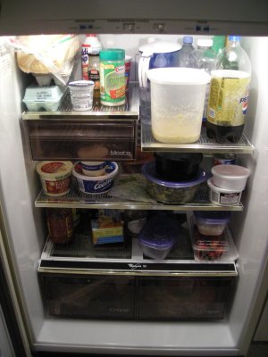 Fridge Friday II â€” the Refrigerator Section