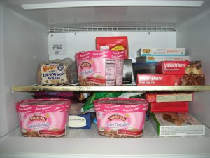 Fridge Friday â€” the Freezer