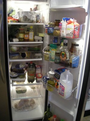 Fridge Friday IV â€” View 1